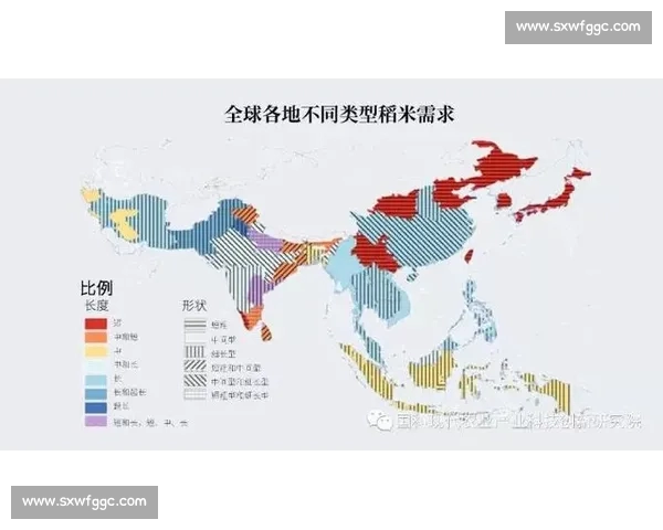 聚焦全球电子竞技赛程布局解读全年赛事看点与发展趋势前瞻